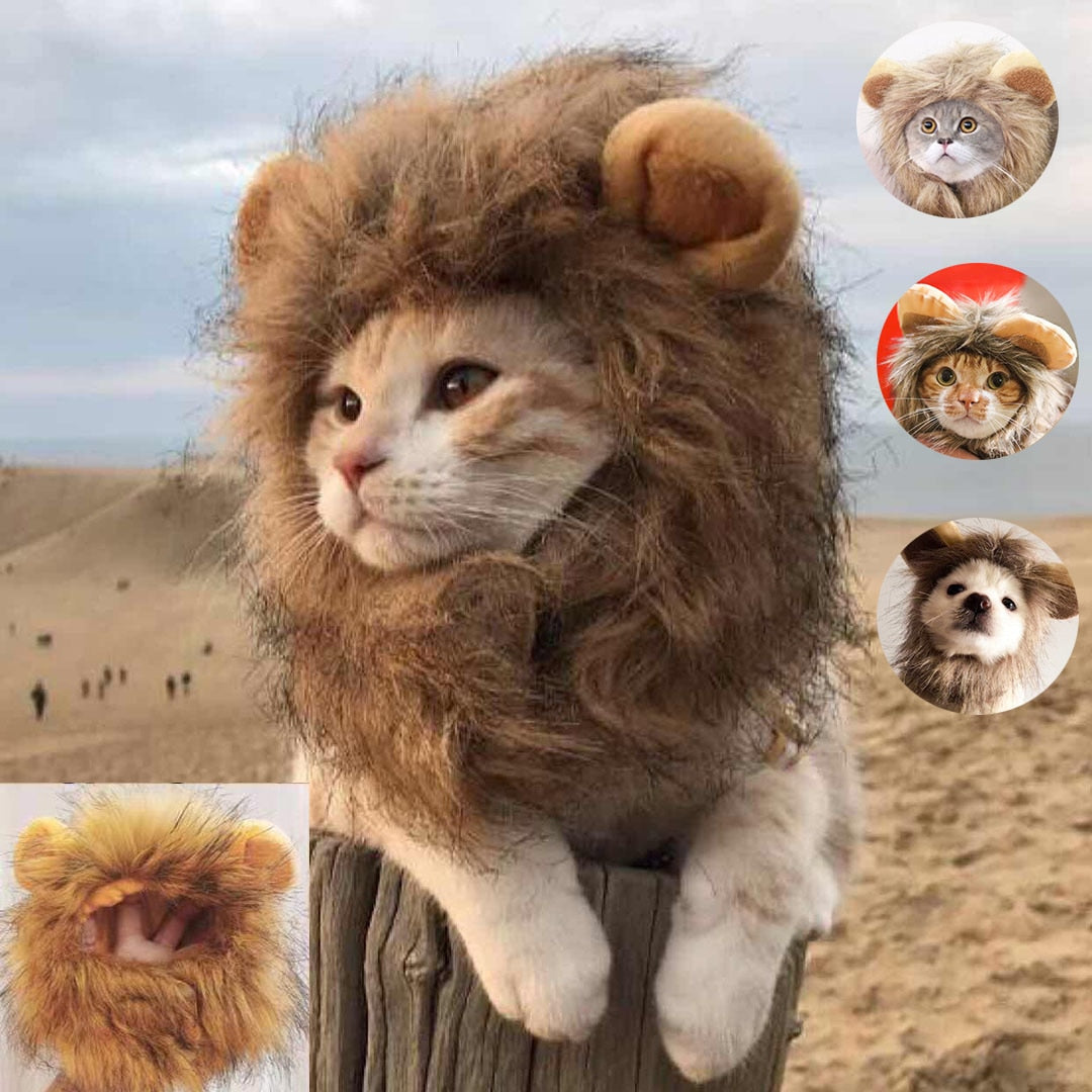 Disfraz de gato león