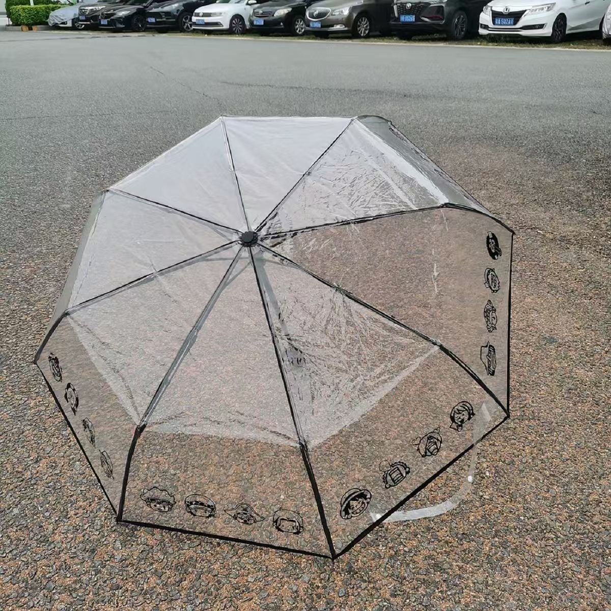 Luffy/Zoro Carry Your Pirate Dream with Transparent Umbrella - Straw Hat Crew by Your Side