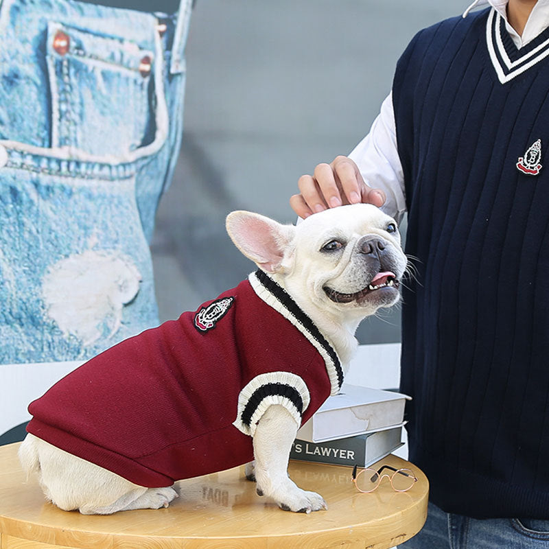 Warme Hundekleidung im College-Stil