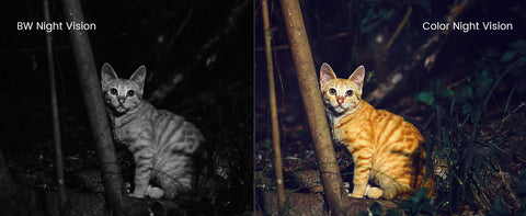 WLAN-Überwachungskamera