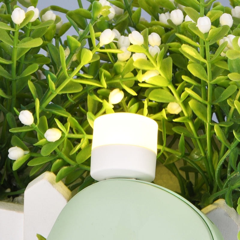 5 stücke Augen Lampe