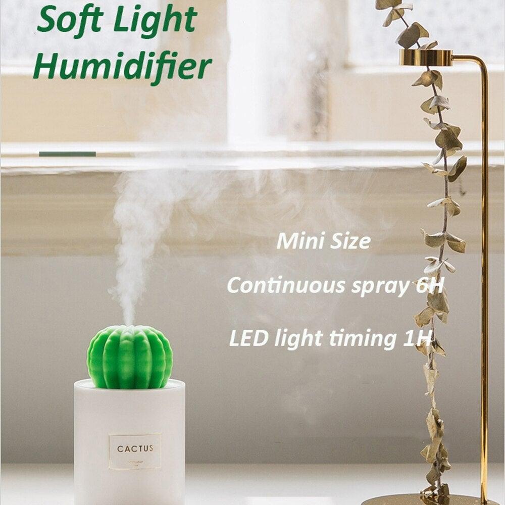 Humidificador de cactus