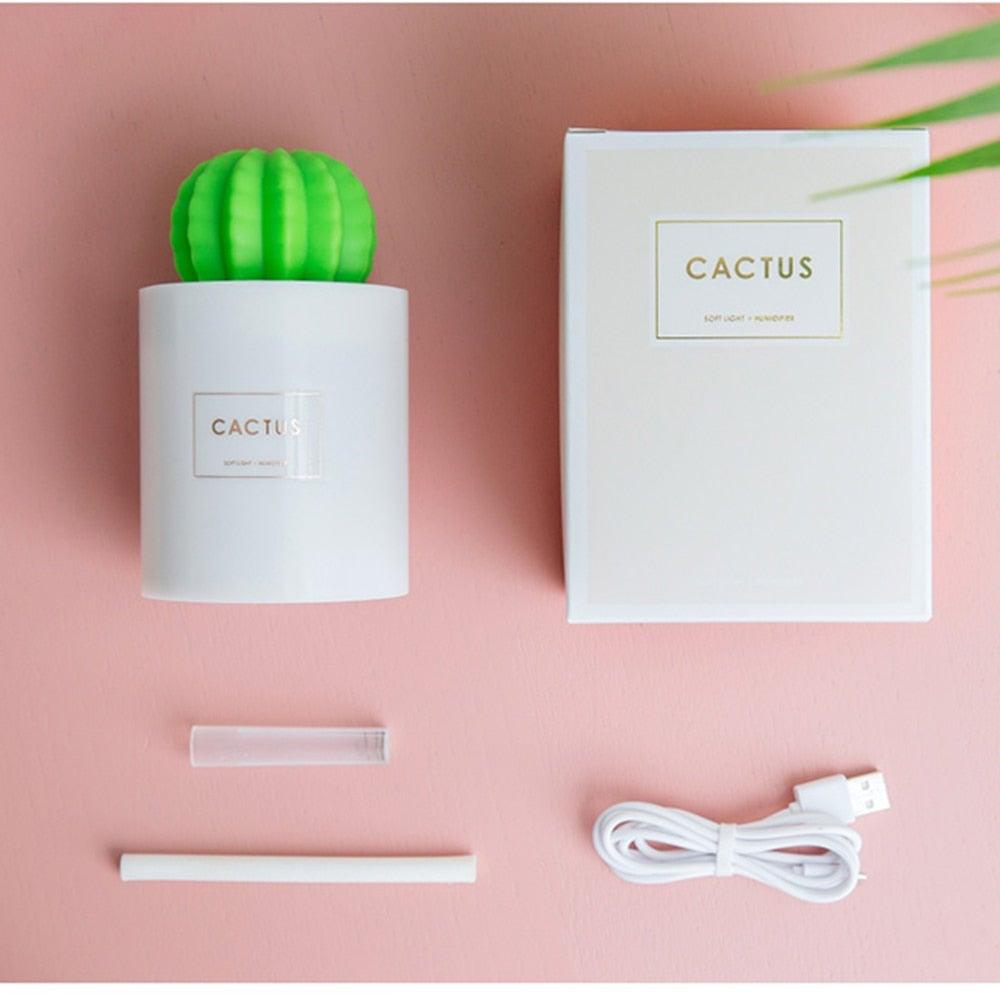 Humidificador de cactus