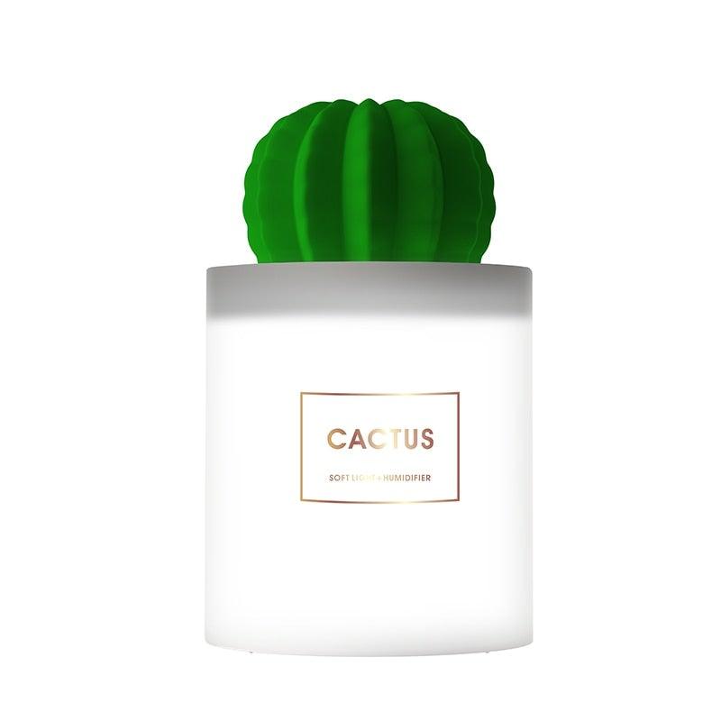 Humidificador de cactus