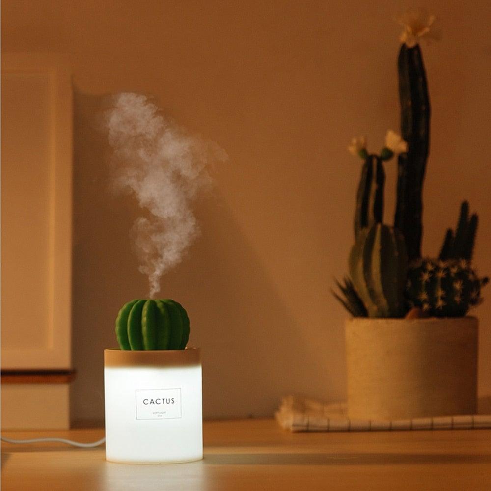 Humidificador de cactus