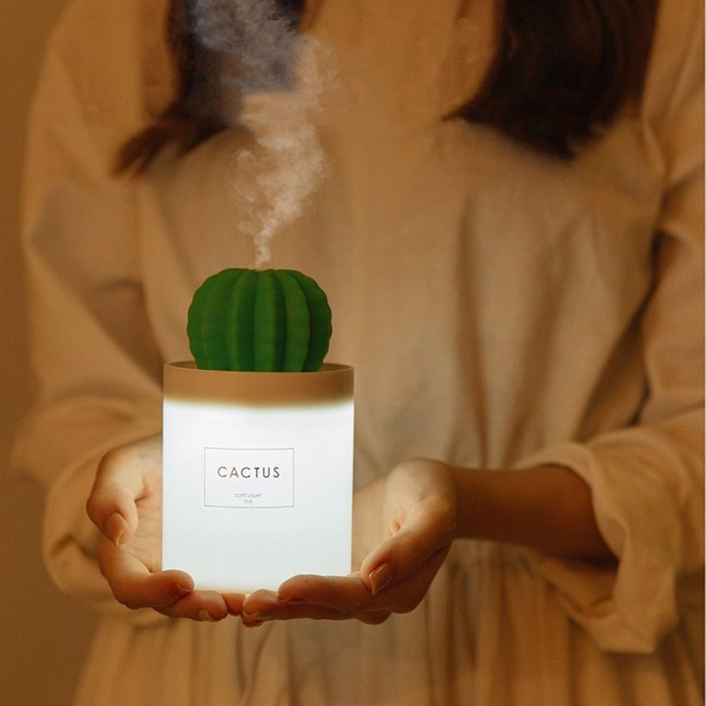 Humidificador de cactus
