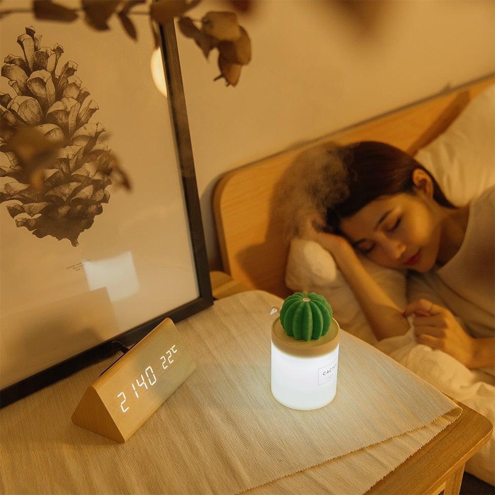 Humidificador de cactus
