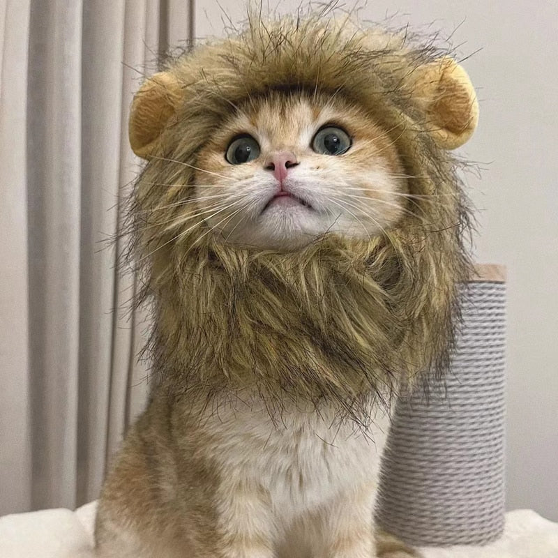 Disfraz de gato león