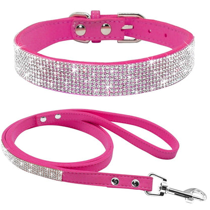 Lindo conjunto de collar y correa para mascotas con brillantes