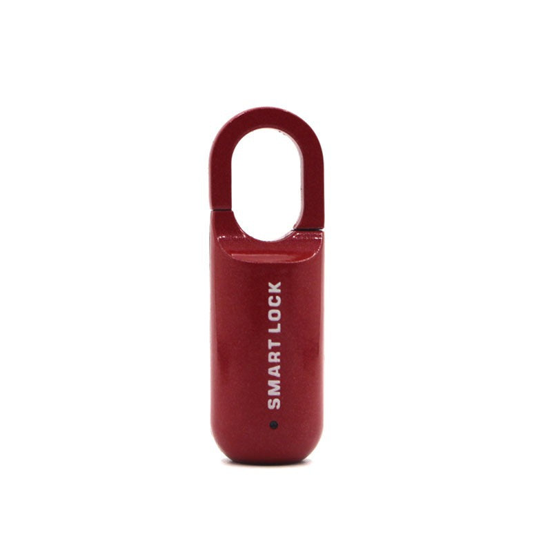 Candado inteligente con huella dactilar: minicerradura para bolsos y armarios