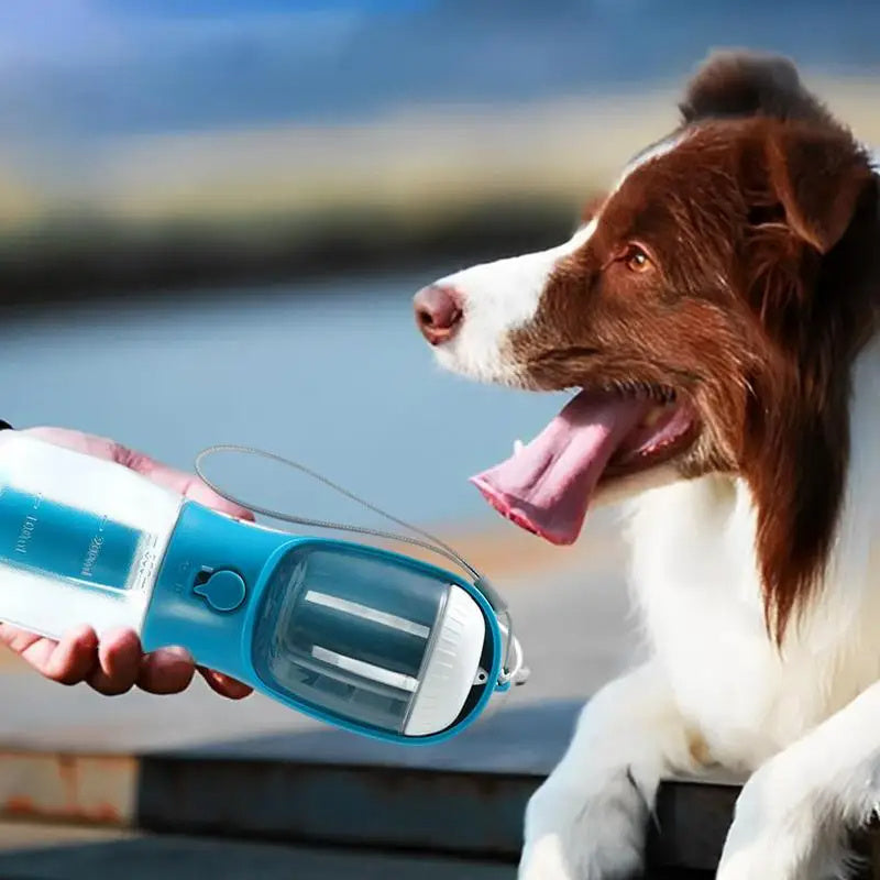 Taza de agua para perros, bebida, comida, bolsa de basura