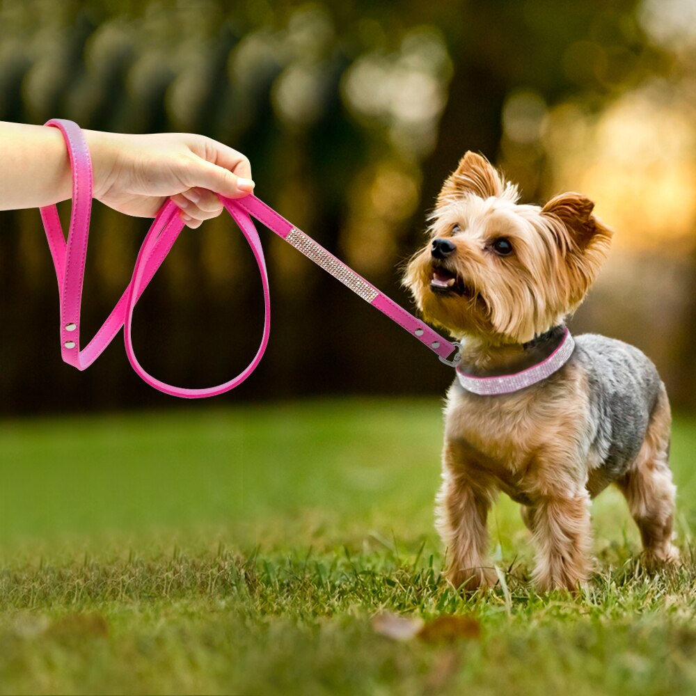 Lindo conjunto de collar y correa para mascotas con brillantes