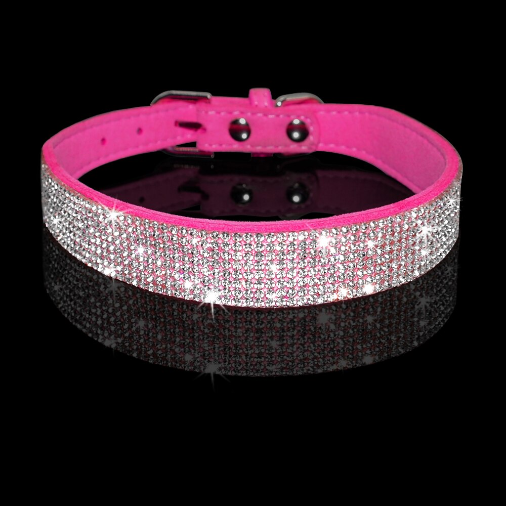 Lindo conjunto de collar y correa para mascotas con brillantes