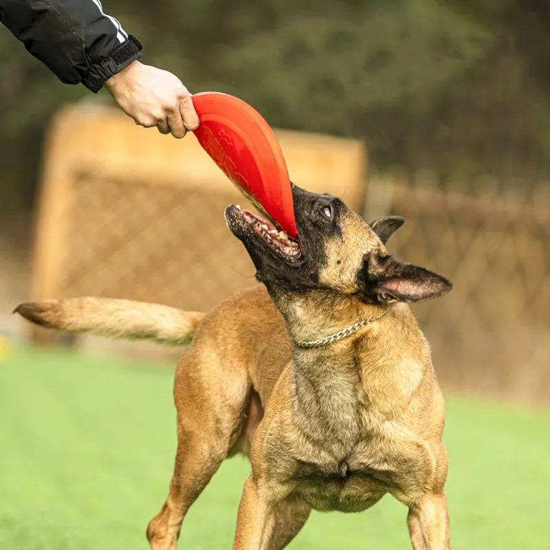 Disco volador de goma duradero para perros