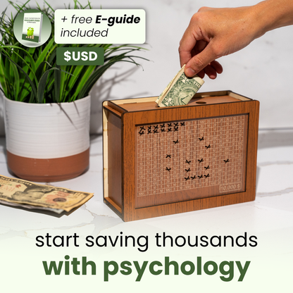 Cashbox (mit Kakeibos Strategie)