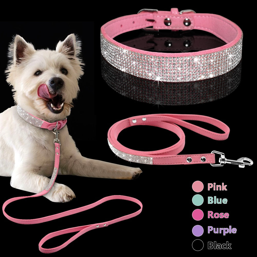 Lindo conjunto de collar y correa para mascotas con brillantes