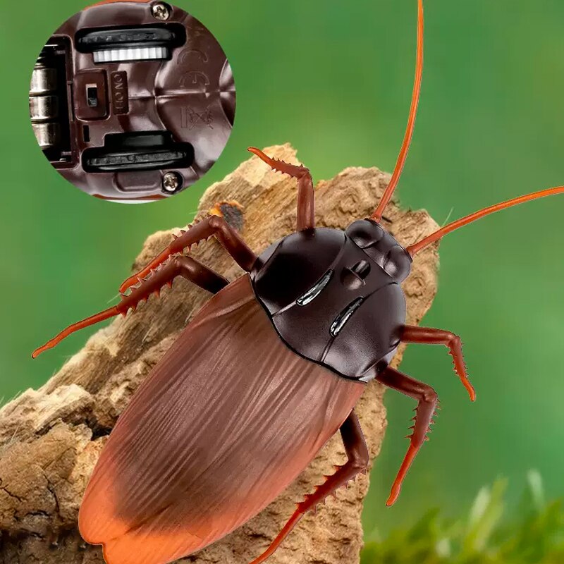 Cucaracha a control remoto