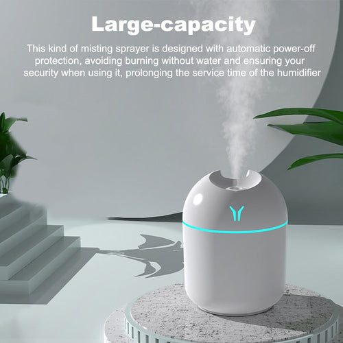 Tragbarer Mini-Nebelsprüher: Luftbefeuchter