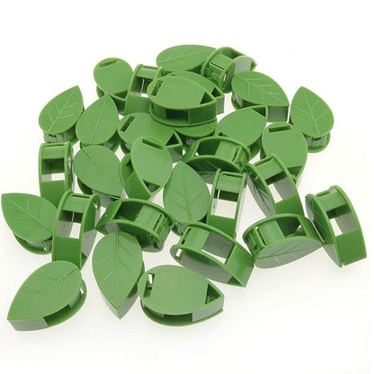 Hoja de planta invisible