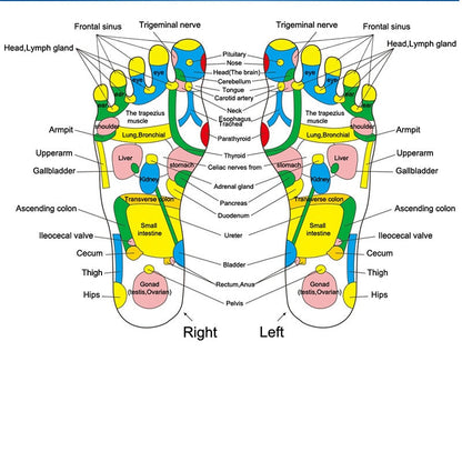 Almohadilla de reflexología Relief Rider