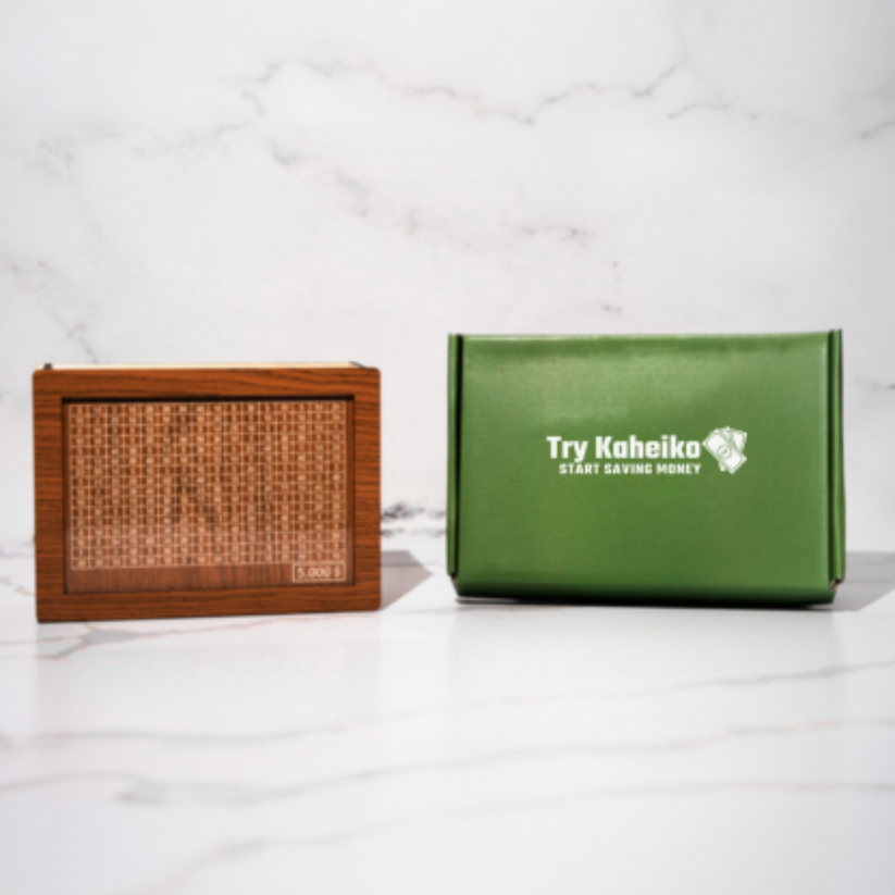 Cashbox (mit Kakeibos Strategie)