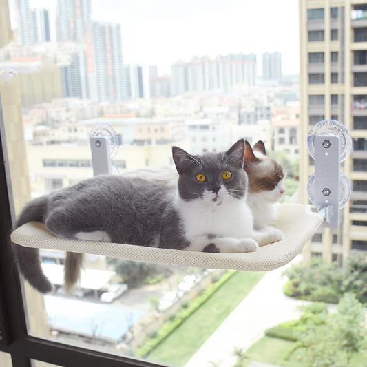 Acogedora hamaca para gatos