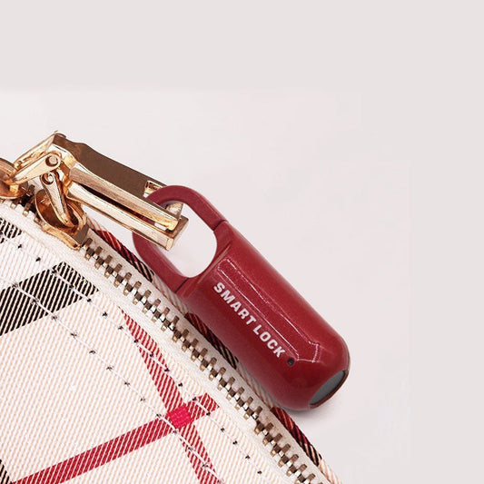 Candado inteligente con huella dactilar: minicerradura para bolsos y armarios