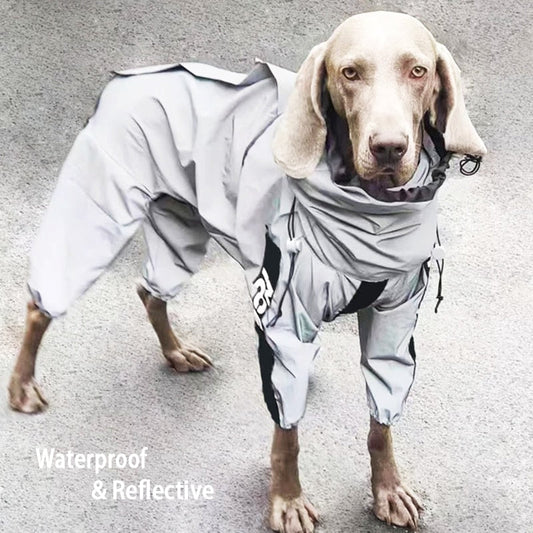 Chubasquero reflectante para perros