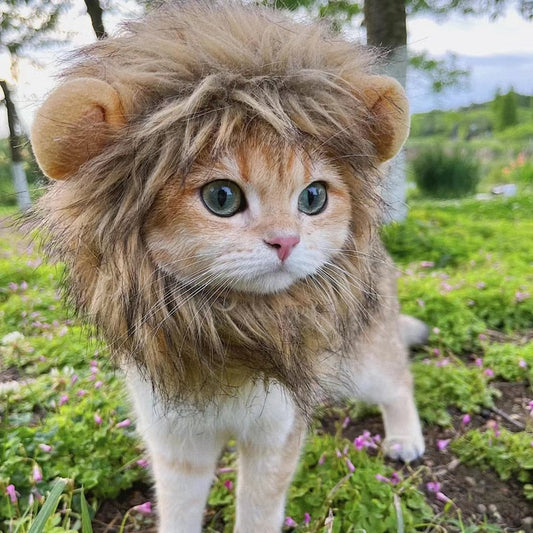 Disfraz de gato león