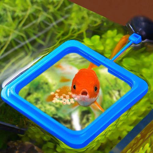 Aquarium Feeding Ring - Nova Gadget Store Square blue