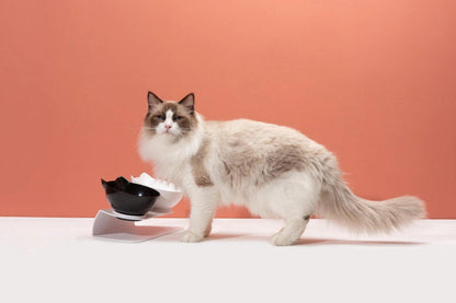 Non-Slip Double Pet Bowl