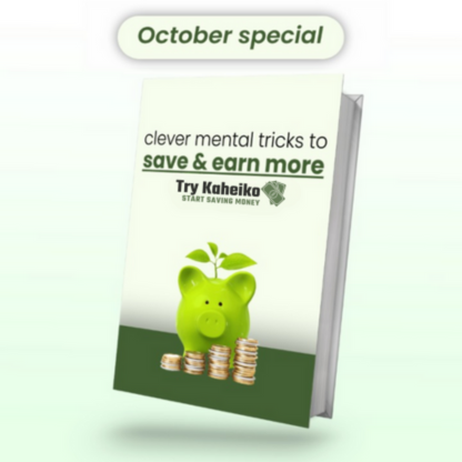 Cashbox (mit Kakeibos Strategie)